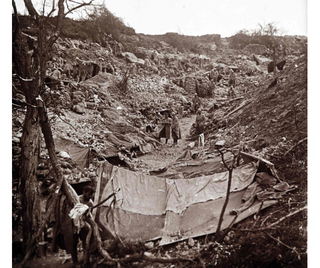 Illustration for article titled These Unseen Photos From World War I Are Unbelievable